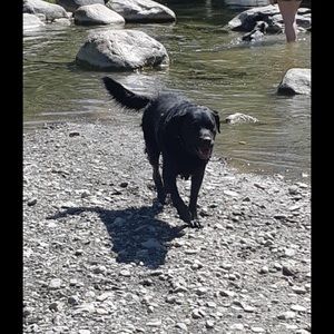 Meet your Posher, Morgan